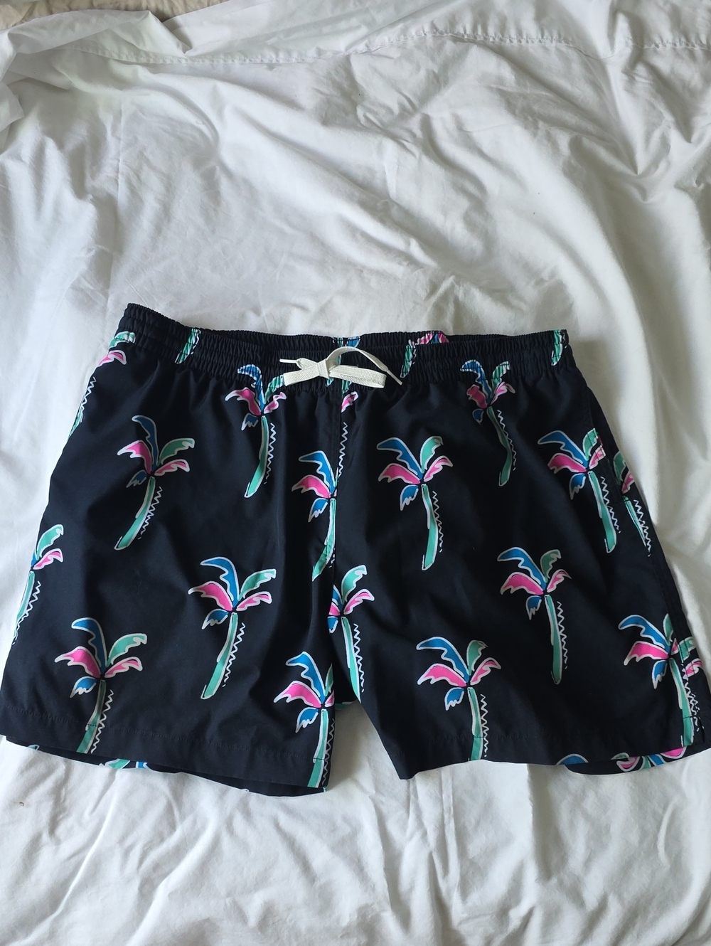 Chubbies 5.5in Inseam Swim Trunks